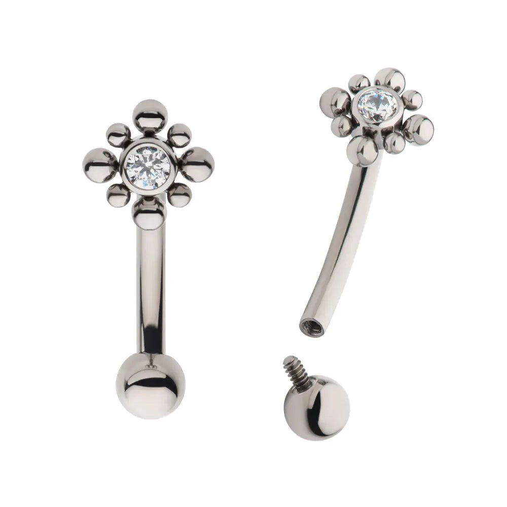 titanium internally threaded Shannon curve